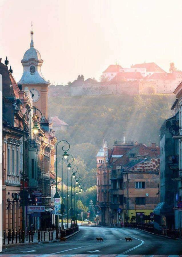 Strada Republicii Nr 26 Apartment Brasov Luaran gambar